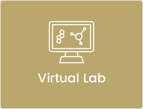 Virtual Lab